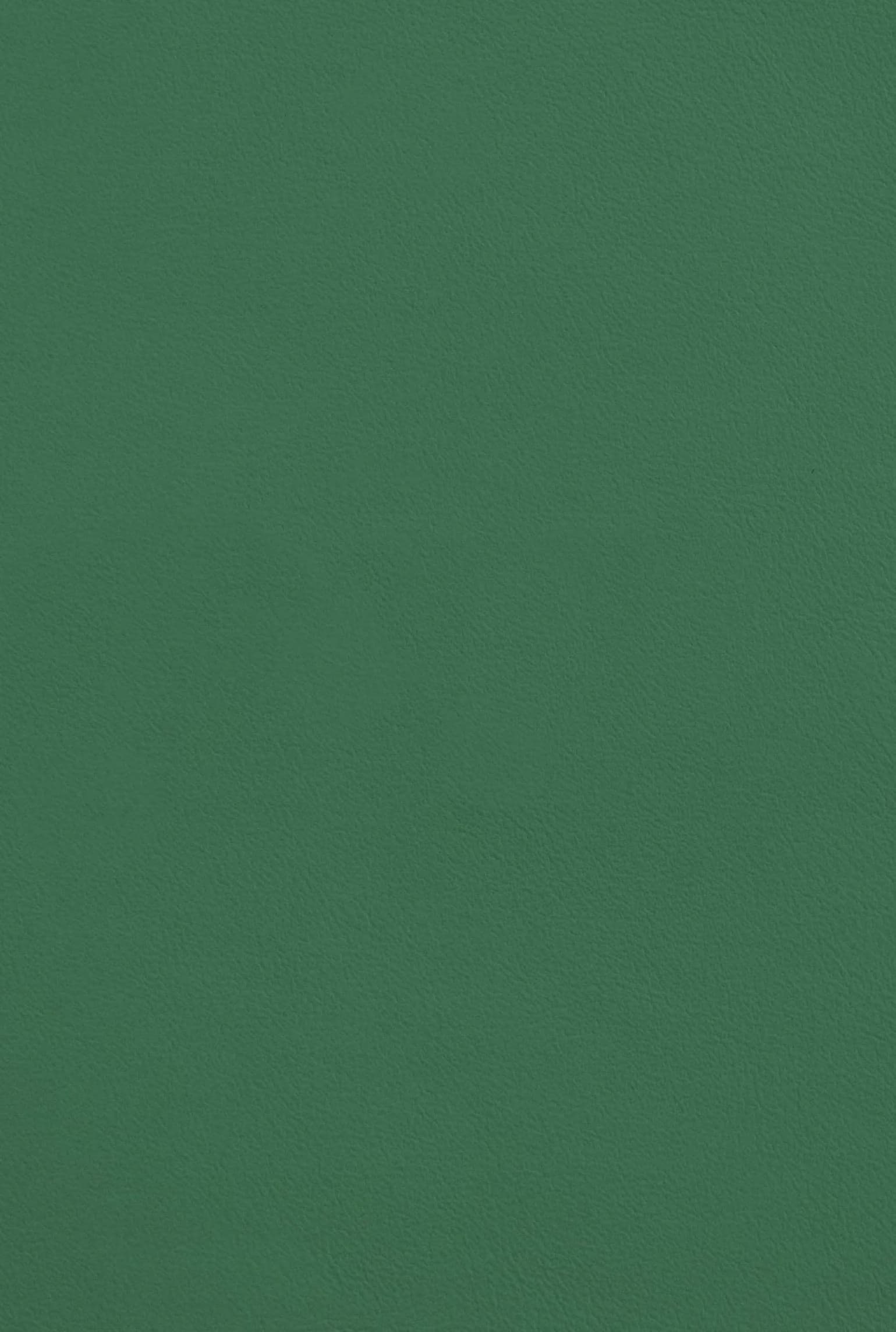 CESENA 227 easy-clean leather-touch catalogue board, tone 27