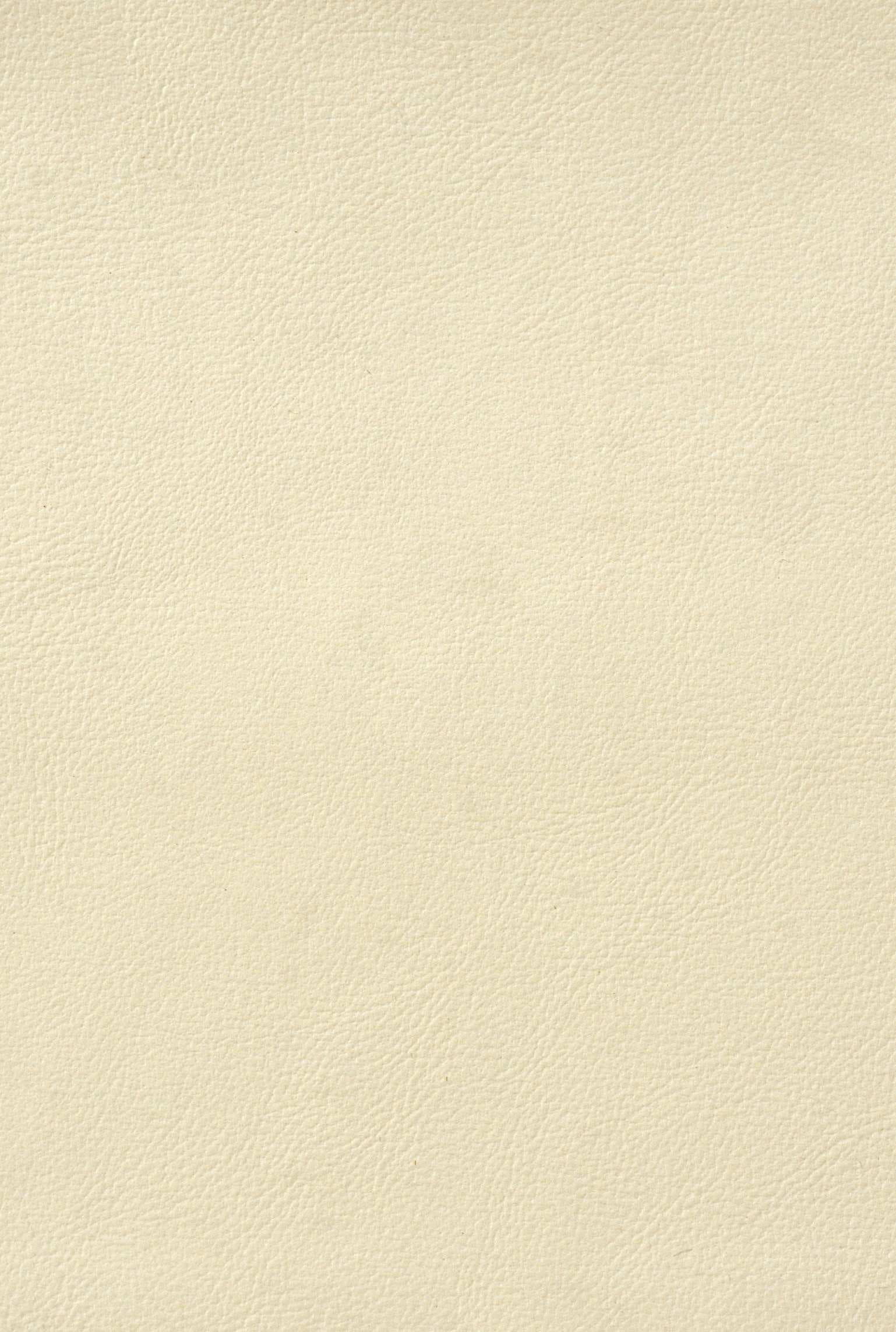 PAISLEY 205 leather-touch catalogue board, tone 5
