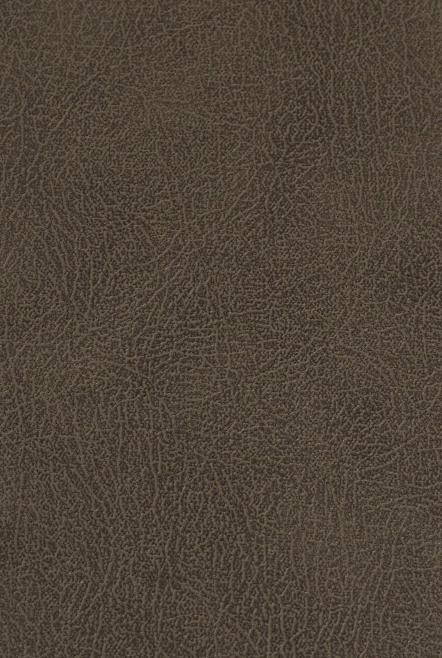 CARLTON 205 leather-suede texture board, serial 205