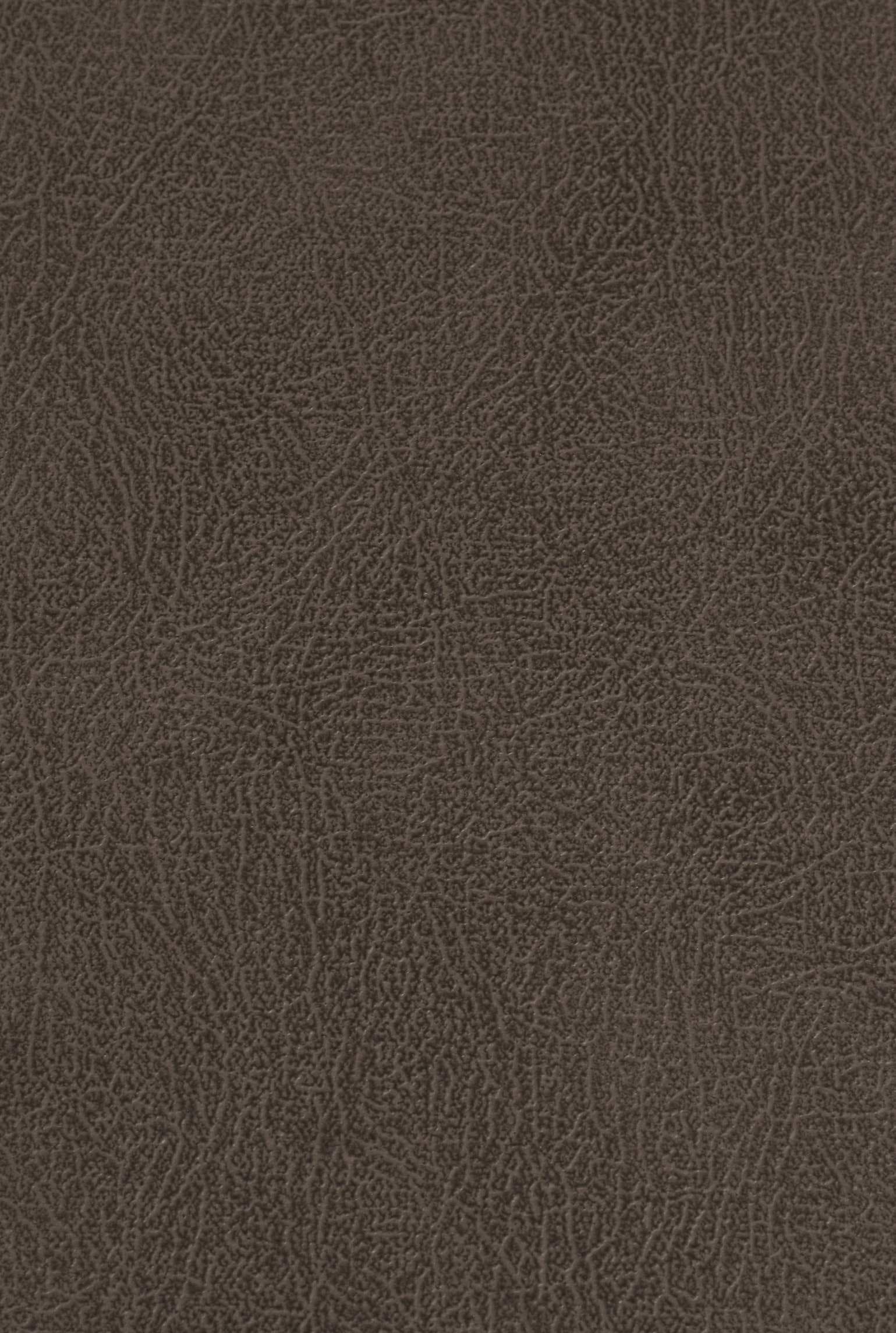 CARLTON 207 leather-suede texture board, serial 207