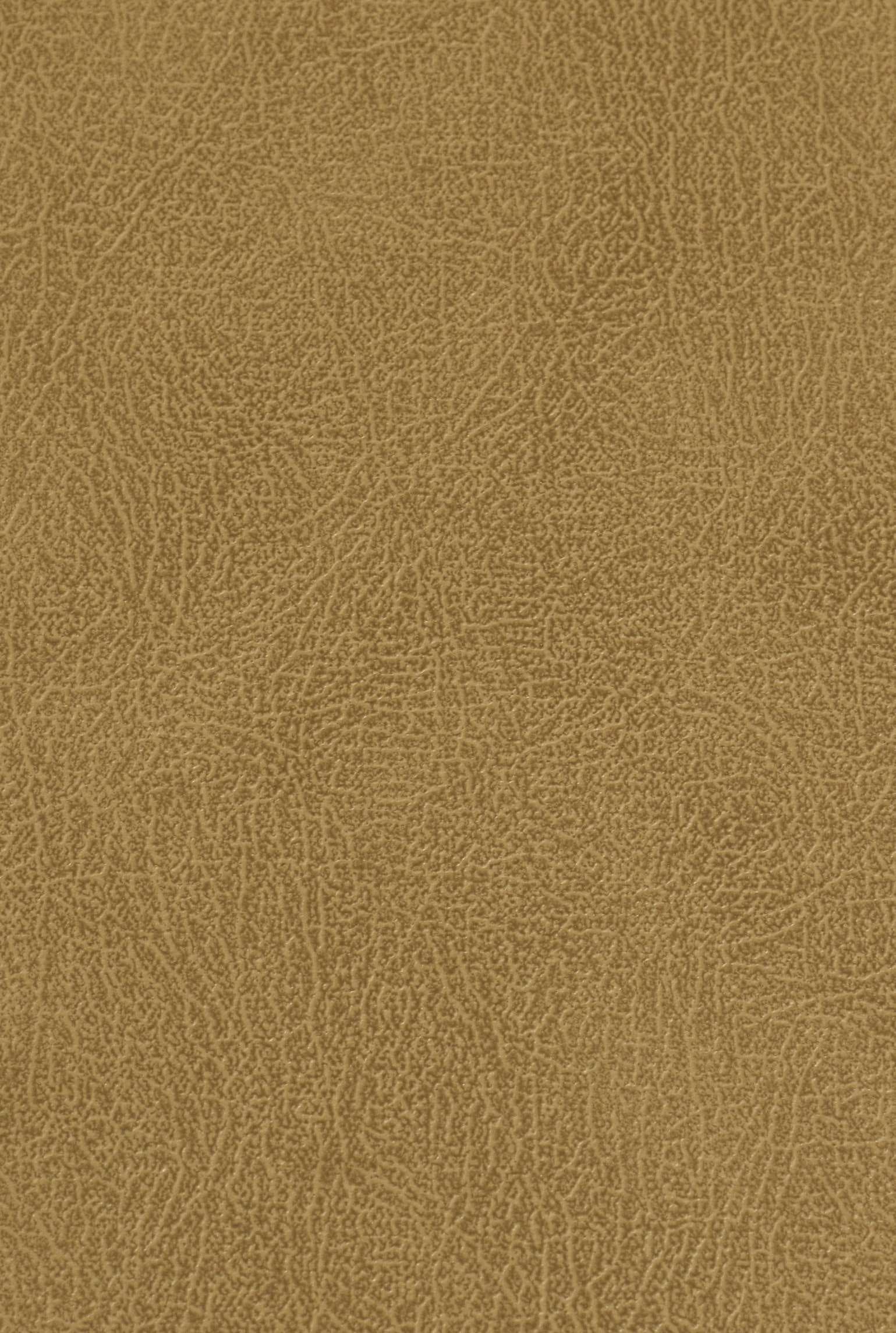 CARLTON 208 leather-suede texture board, serial 208