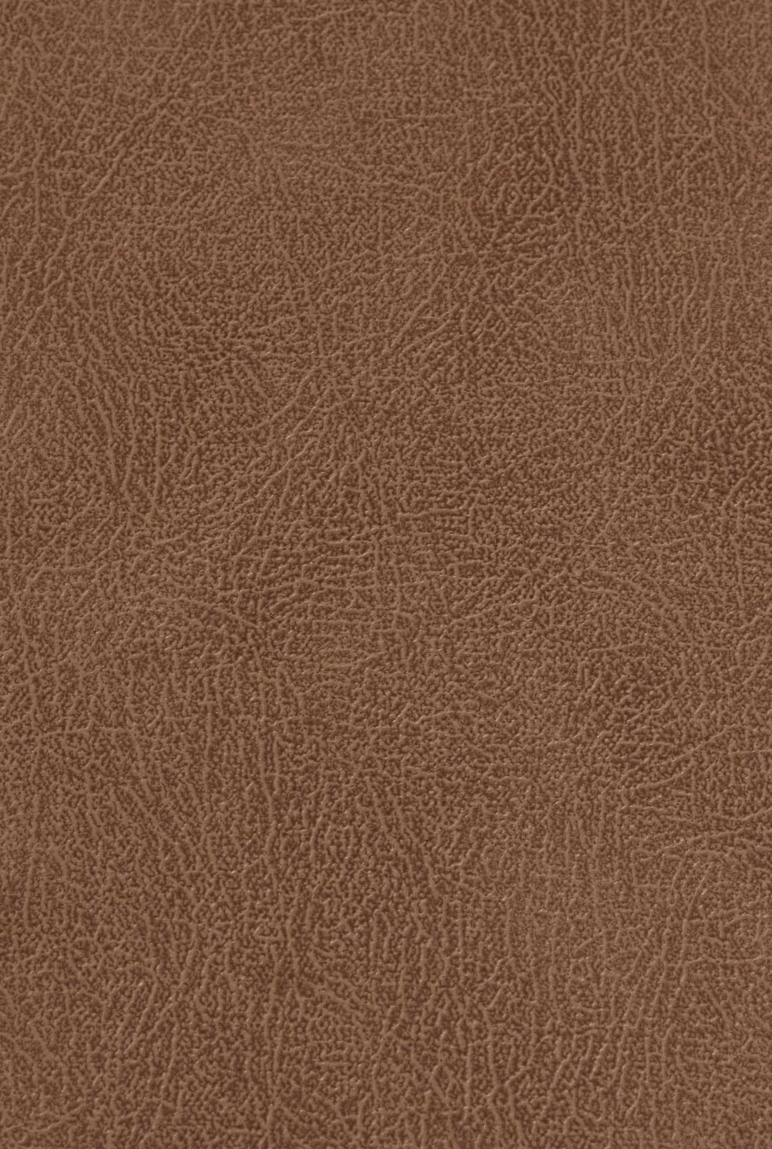 CARLTON 209 leather-suede texture board, serial 209