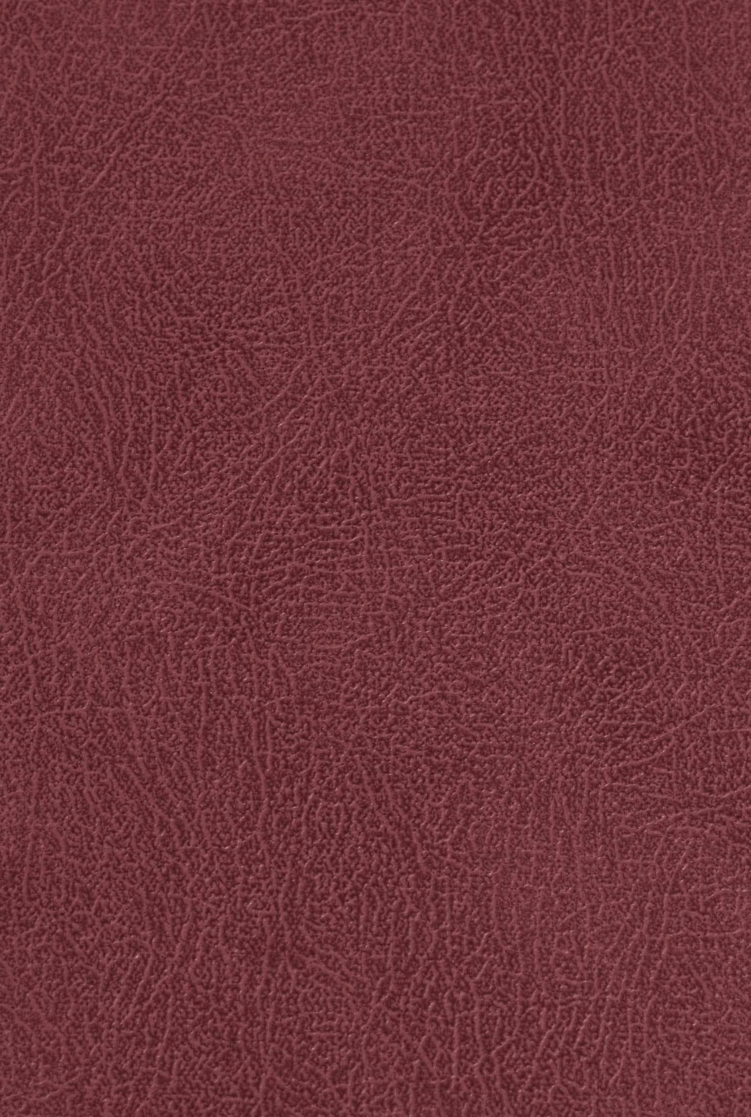CARLTON 211 leather-suede texture board, serial 211