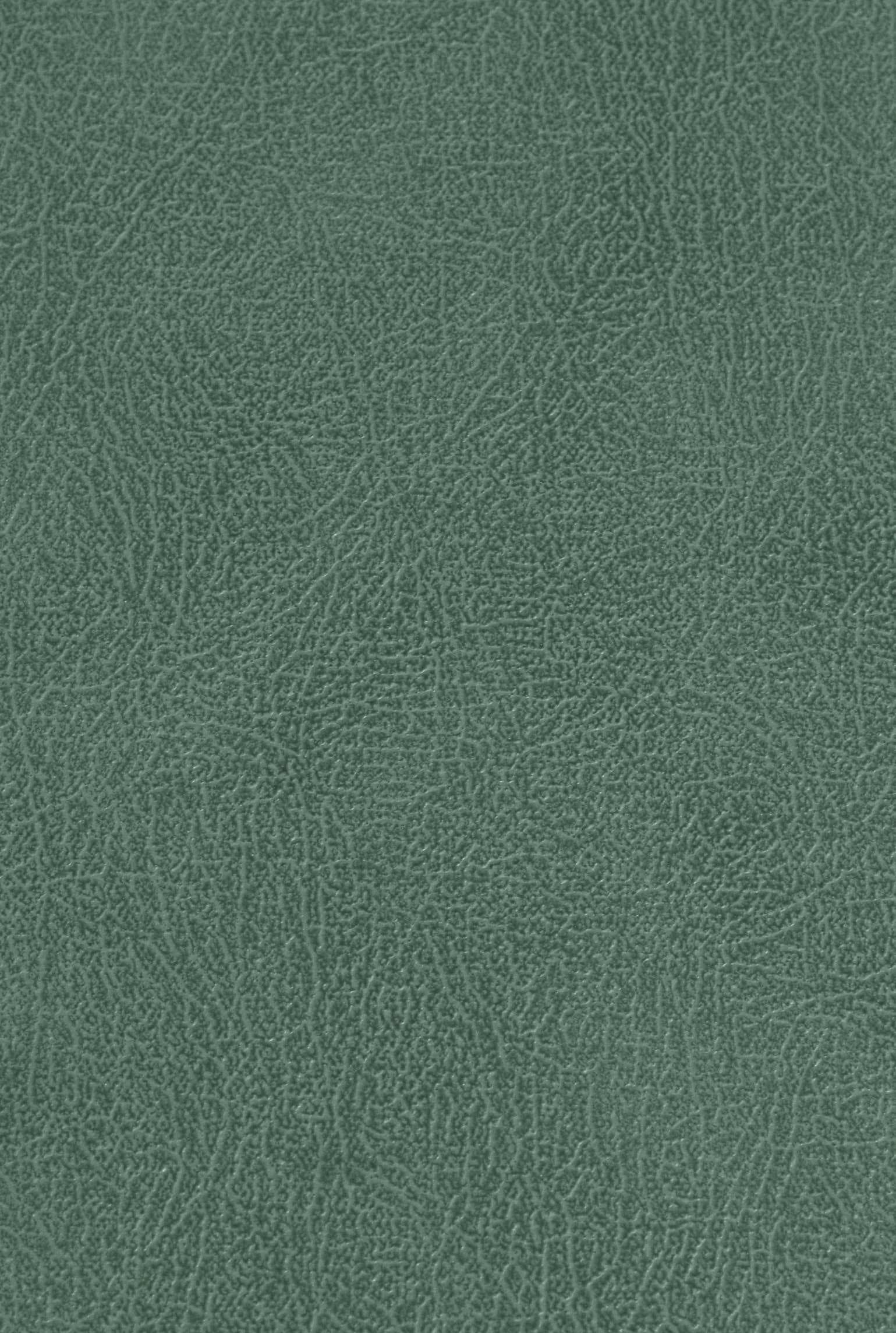 CARLTON 212 leather-suede texture board, serial 212