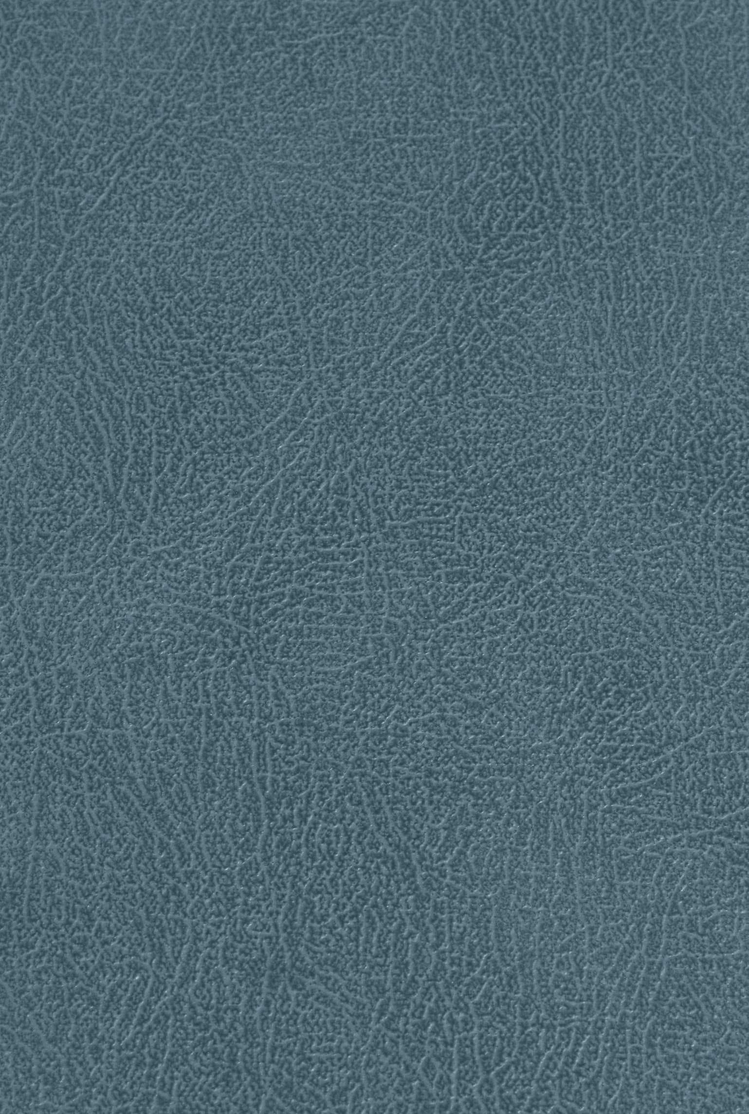 CARLTON 213 leather-suede texture board, serial 213