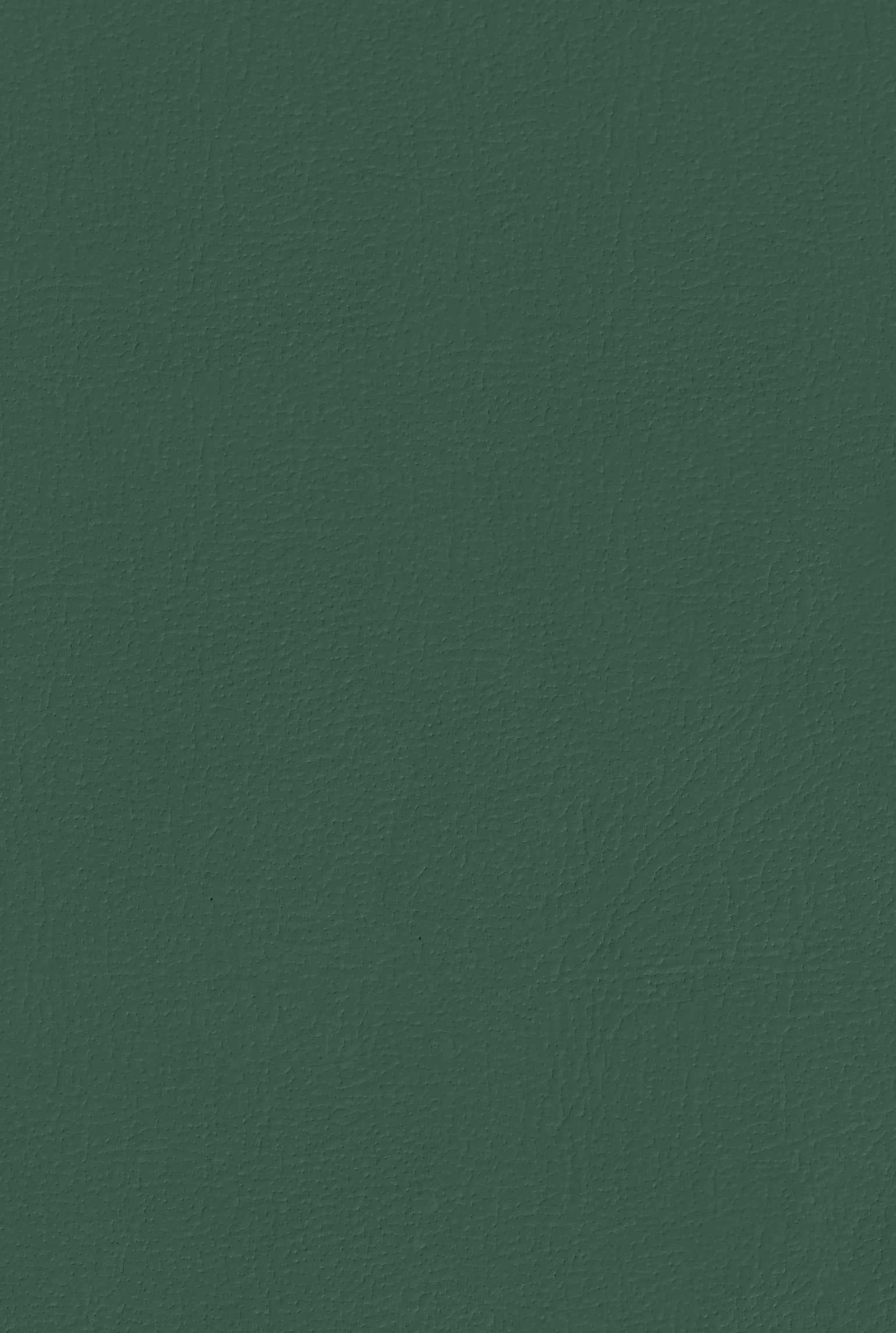 CASEY 113 leather-suede texture board, serial 113